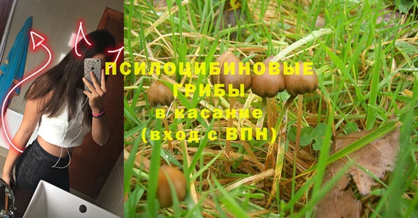 jwh Саяногорск